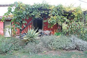 Corfu-vakantiewoning  Eed Cottage met tuin voor 4 personen