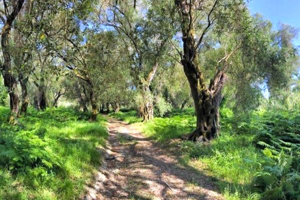 Korfoe Trail wandelvakantie