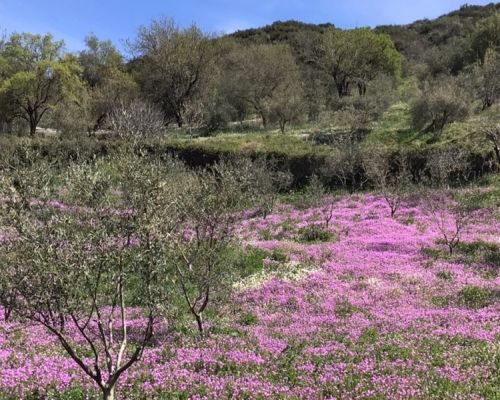Korfoe Trail wandelvakantie