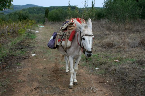 Korfoe Trail wandelvakantie