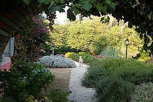 corfu vakantiewoning corfu-vakantiehuis 5 - 6 personen