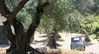 vakantiehuis Corfu
